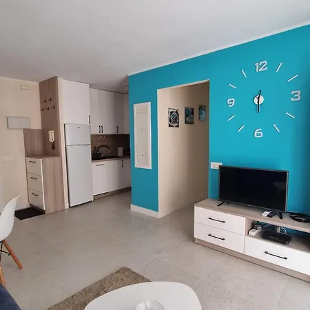 Brisa Turquesa 公寓 托雷维耶哈