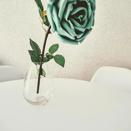 شقة Brisa Turquesa